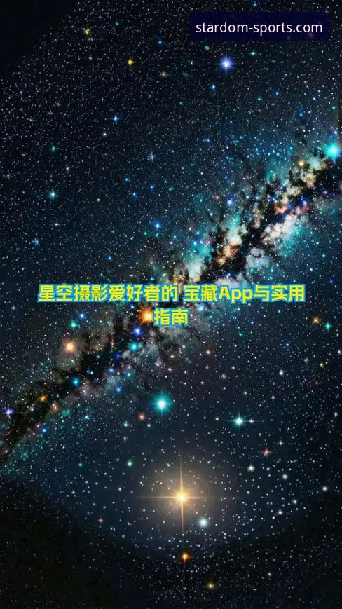 星空综合平台登录实用指南：技术评测与操作全解析