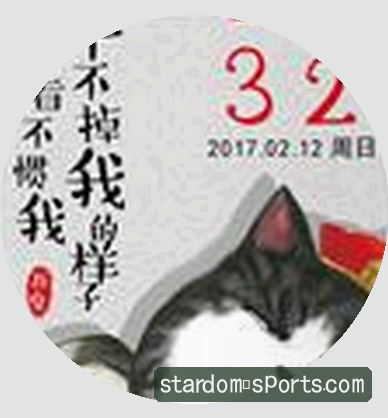 刘思琪